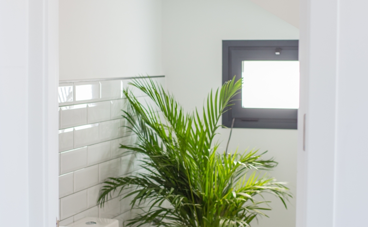 Ferienhaus in Spanien kaufen