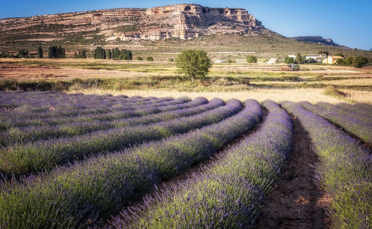 Haus Kaufen Costa blanca bestcostahome Gerd Ströckens 015172426936-jpg