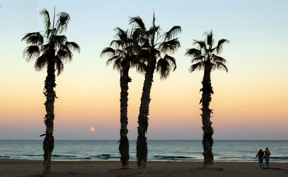 Idealista bestcostahome Gerd Ströckens 015172426936-jpg