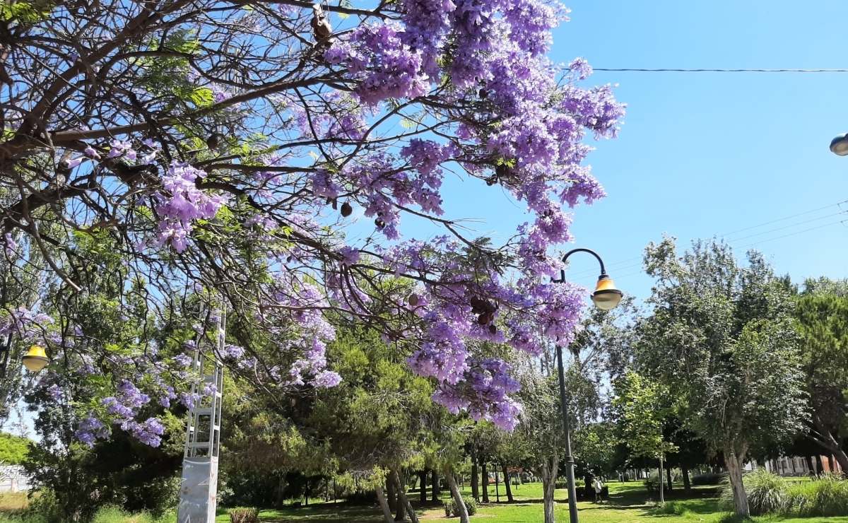 Reihenhaus Costa Blanca bestcostahome Gerd Ströckens 015172426936-jpg