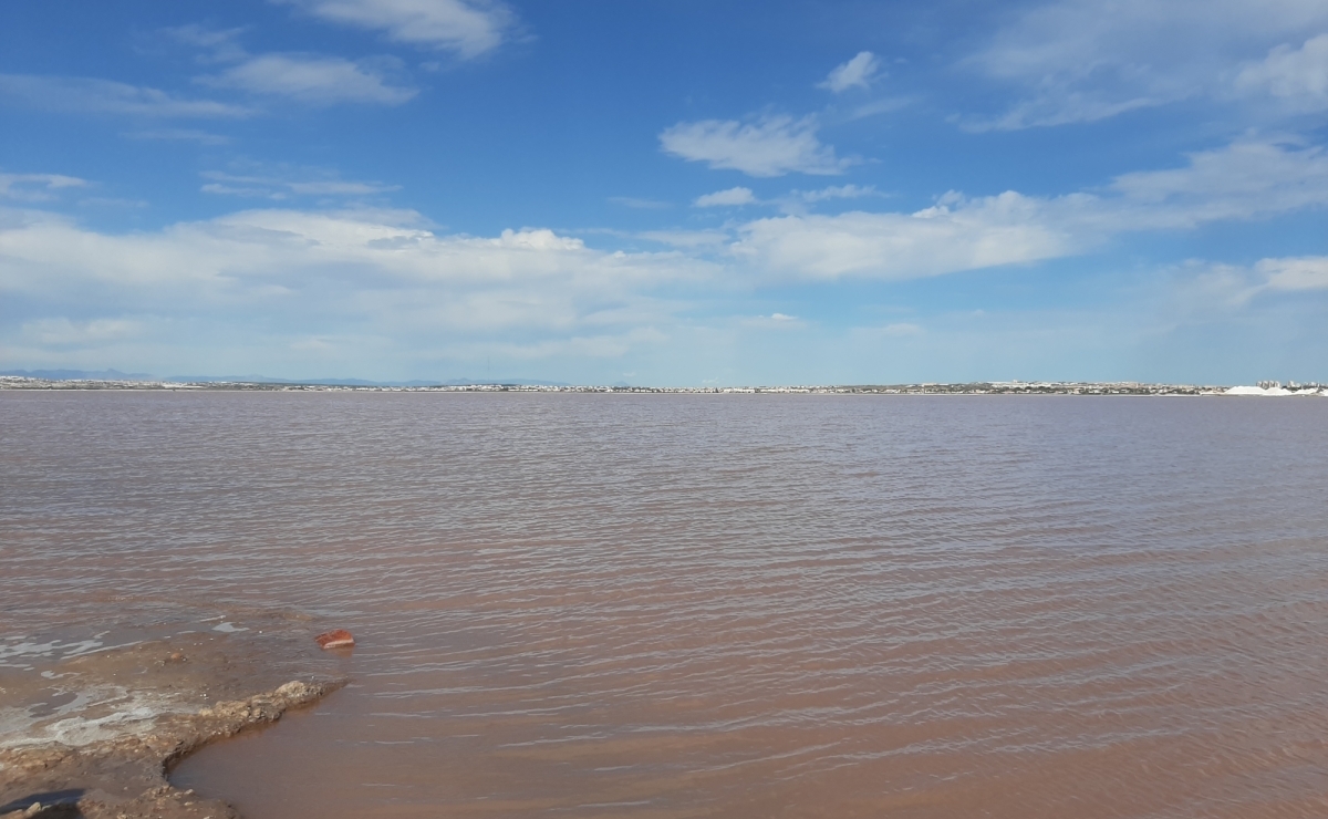 Wohnung kaufen Costa Blanca mit bestcostahome Gerd Ströckens 015172426936-jpg