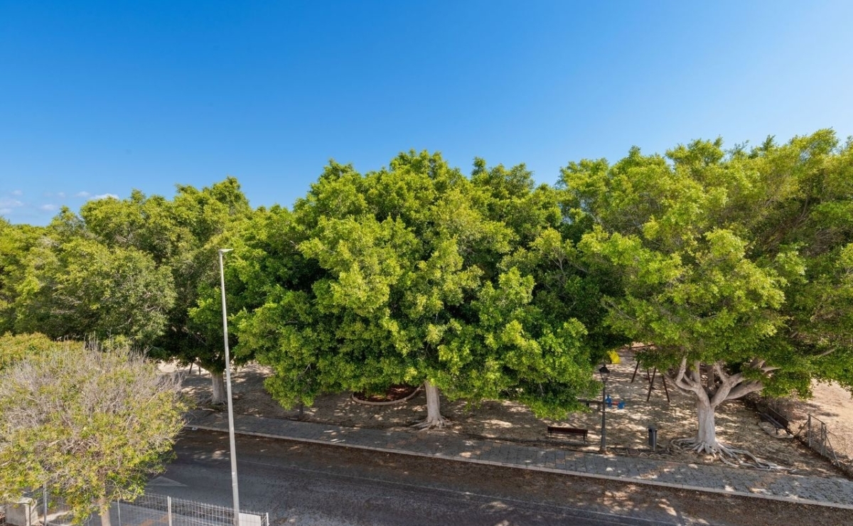 umgebing-villa-nahe-torrevieja -bestcostahome