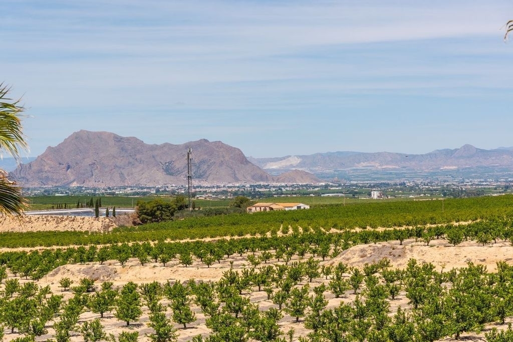 Moderne Neubauvillen Costa Blanca Süd bestcostahome.de-jpg