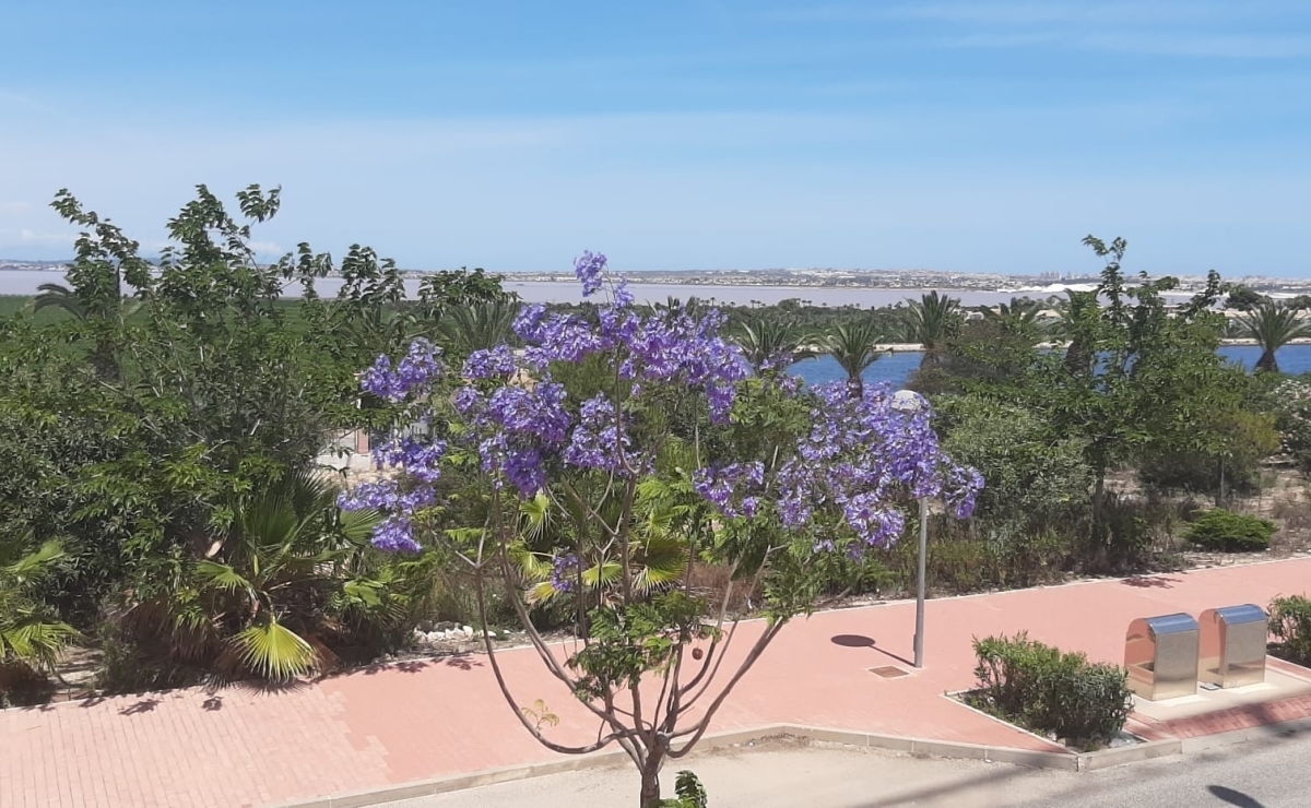 Außenbereich mit Pool und Terrasse