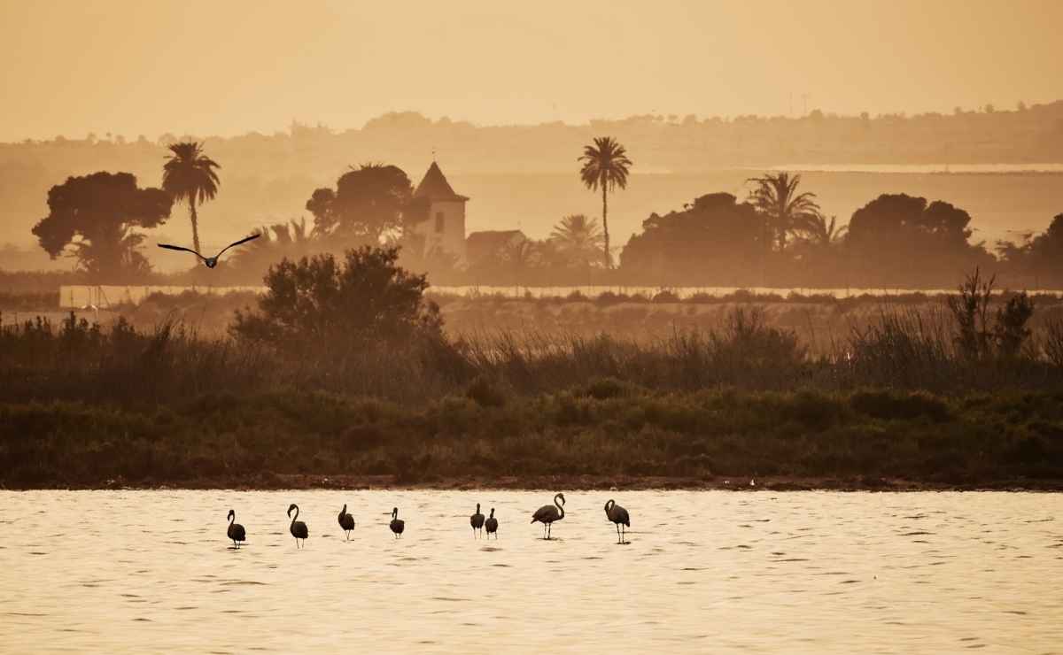Freilebende Flamigos Villa kaufen in Spanien bestcostahome