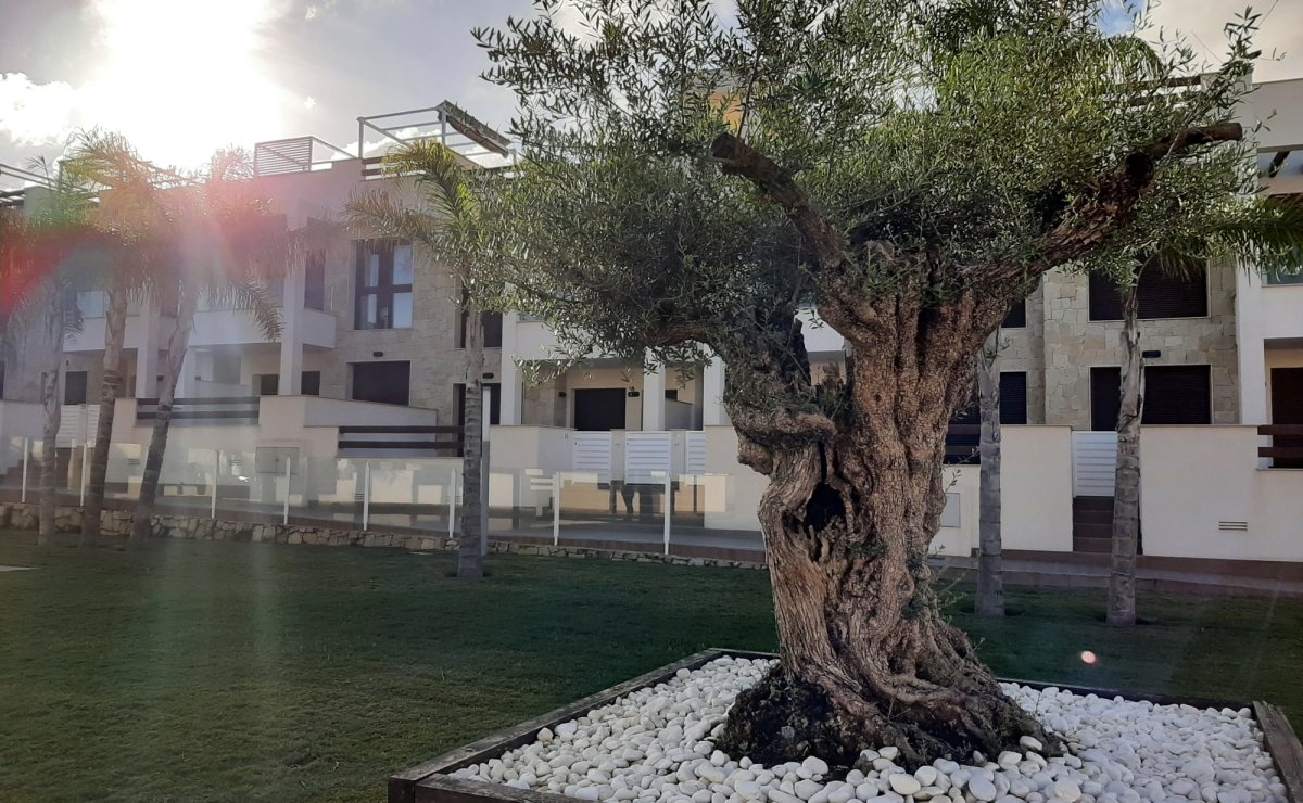 Warum Bestcostahome die richtige Wahl für Ihren Immobilienkauf in Spanien ist