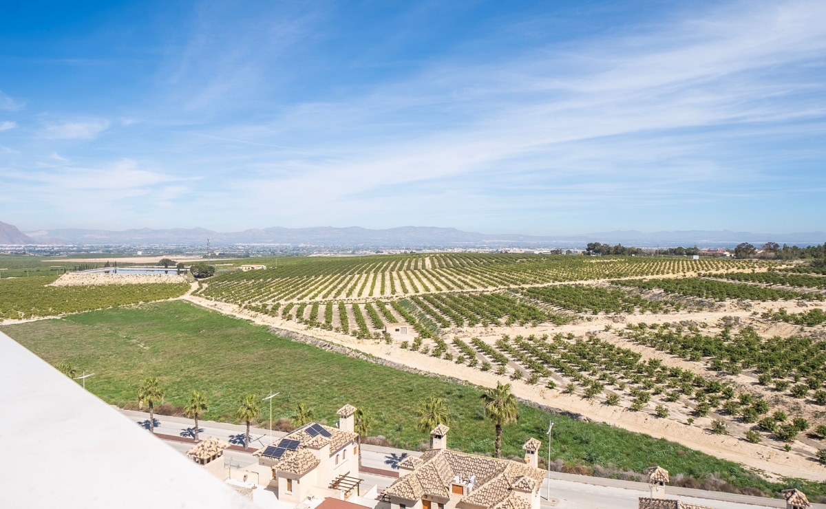 Immobilien in Torrevieja  bestcostahome.de Gerd Ströckens